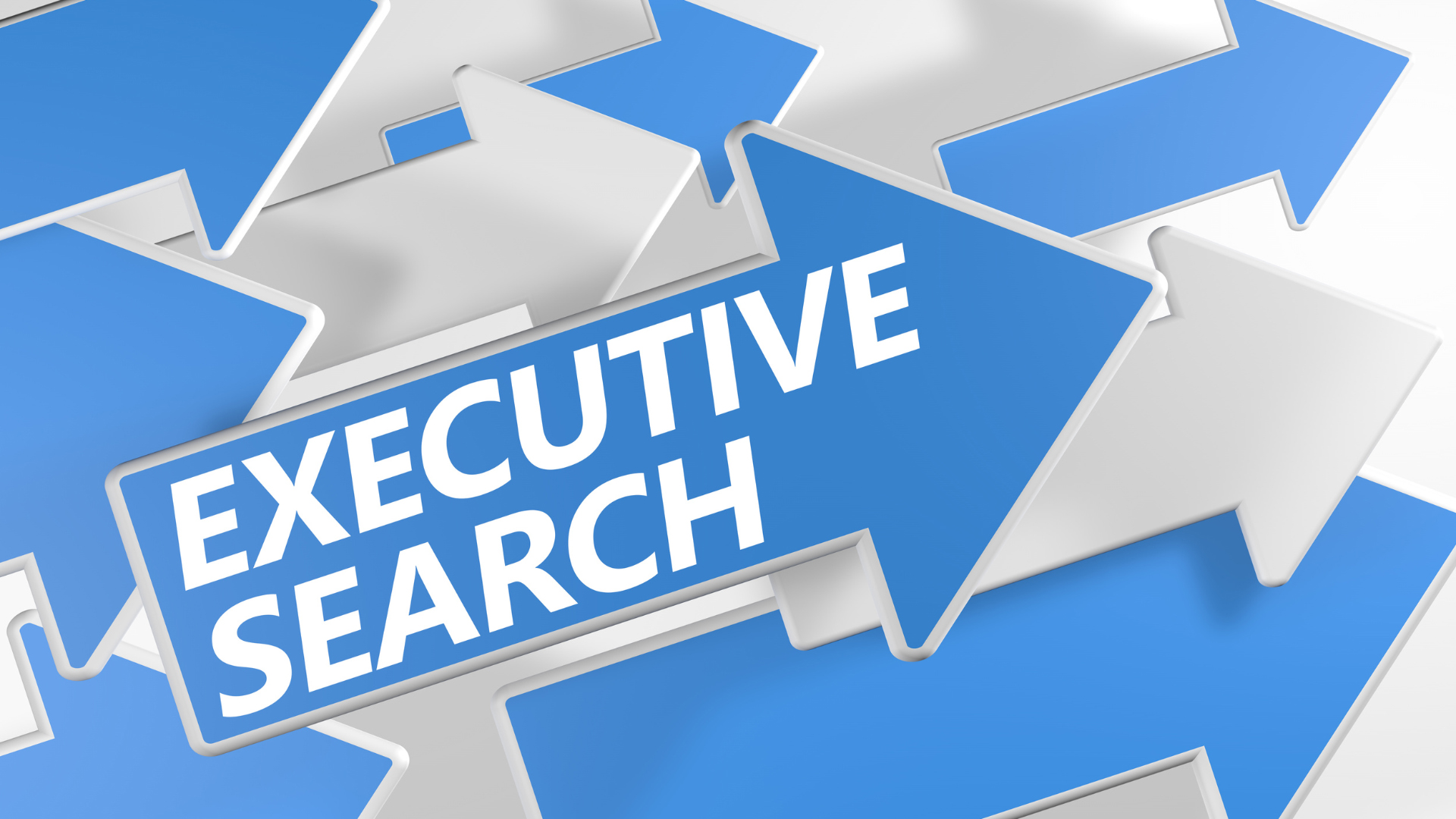 executive search or recruitment firms